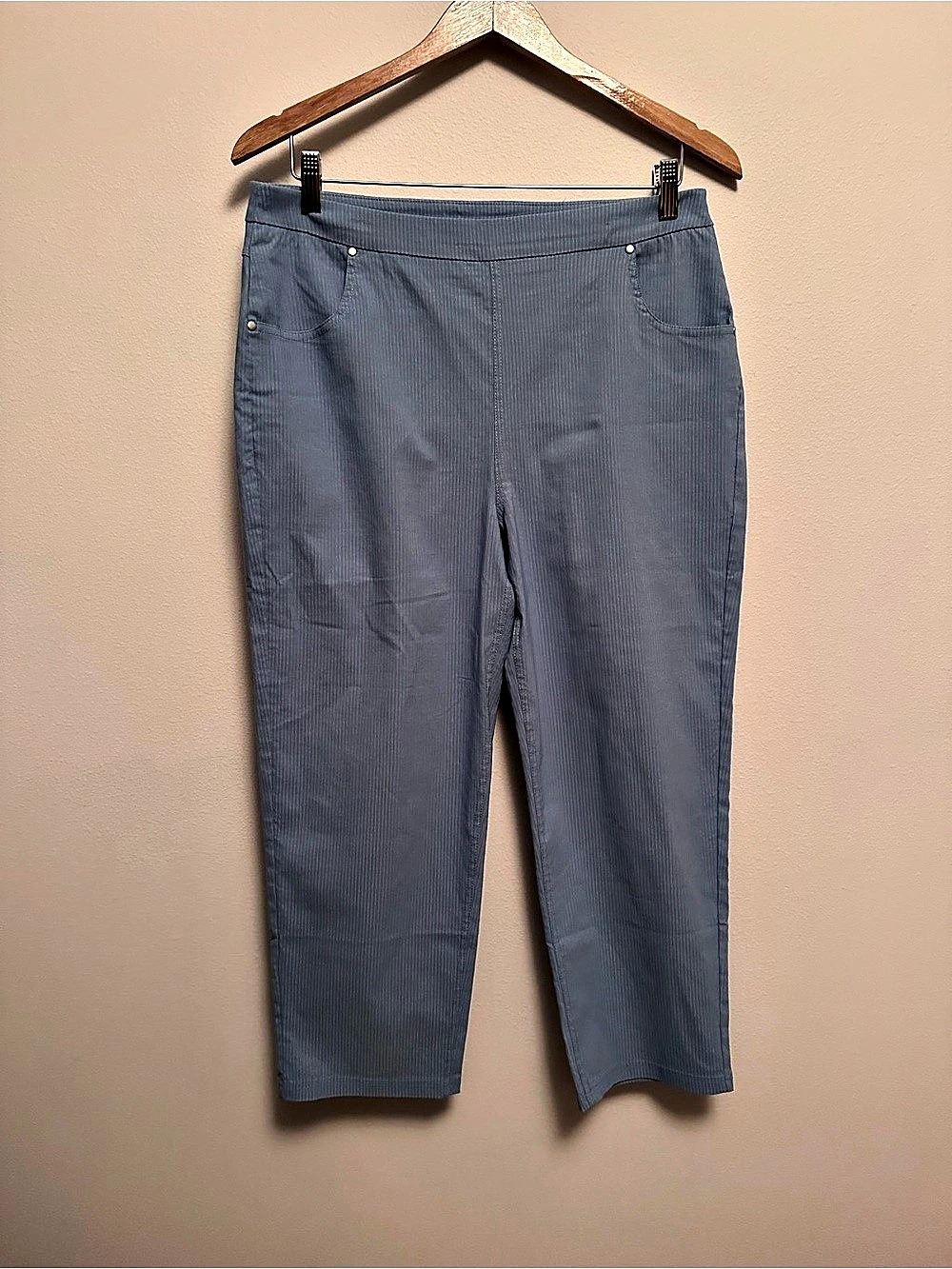 Hue Everyday Stretch Pull-On Capri Striped Ankle Pants Blue Large